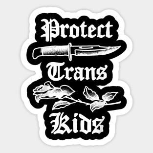 Protect Trans Kids Knife Lgbtq Rose Ally Trans Pride Flag Sticker